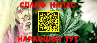 jwh Аша