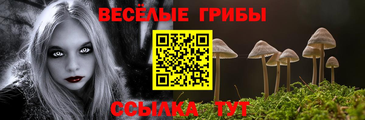 Выборг  Галлюциногенные грибы мухоморы  Вход с VPN 