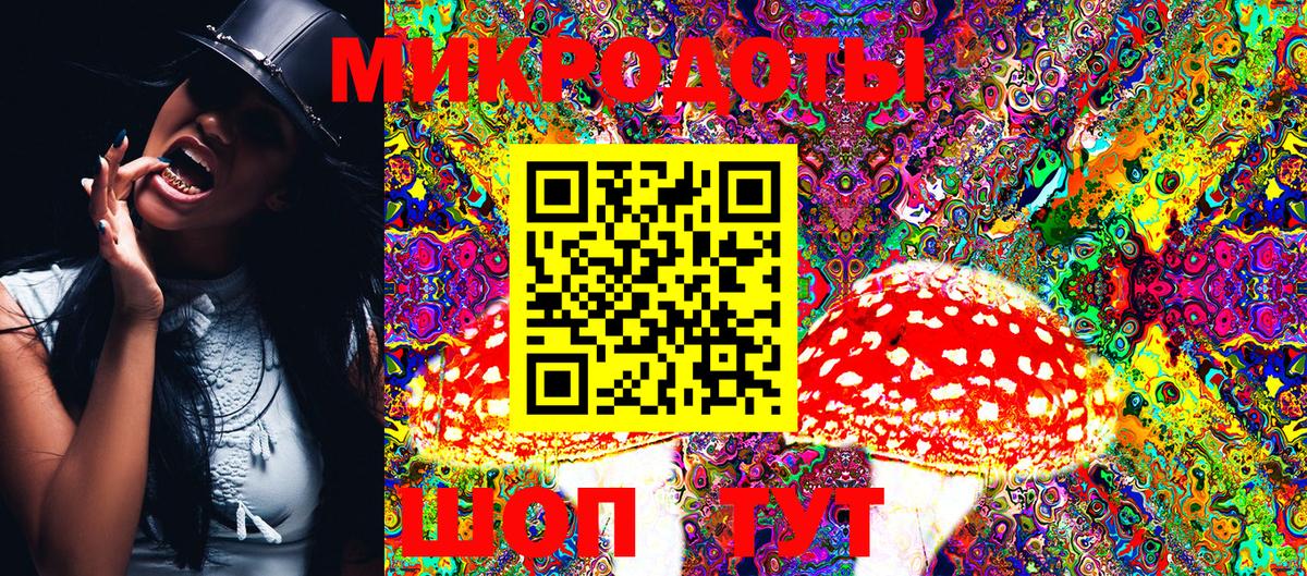 Псилоцибиновые грибы мухоморы Выборг