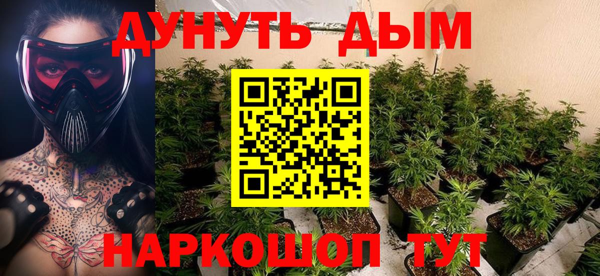 Выборг  Канабис AK-47  Каннабис OG Kush  Вход с VPN 